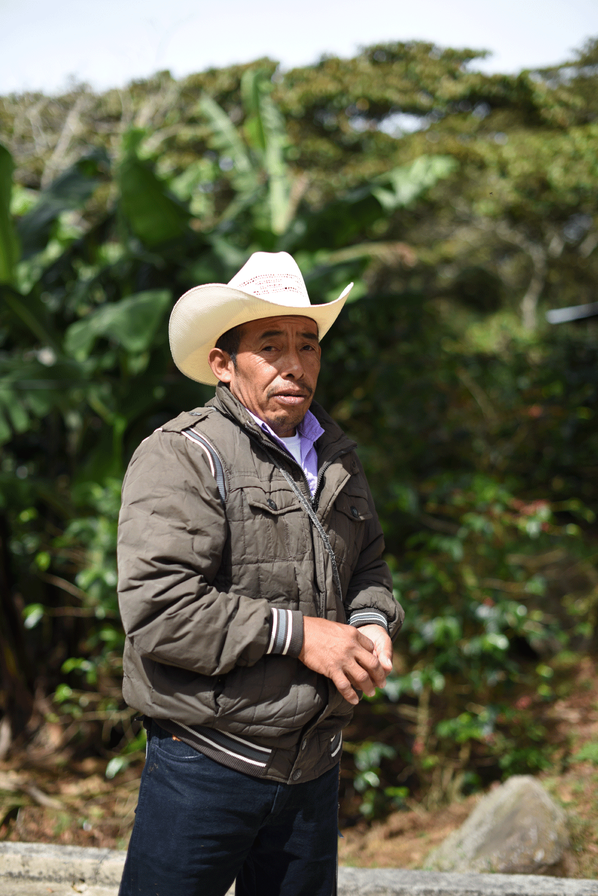 Kaffeodlare i Marcala, Honduras